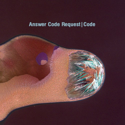 Pochette de Code