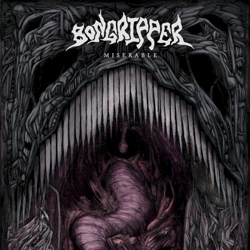 Pochette de Miserable