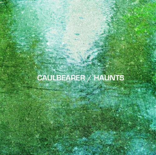 Pochette de Haunts