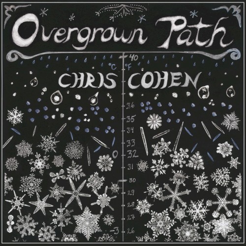 Pochette de Overgrown Path