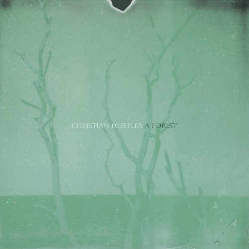 Pochette de A Forest
