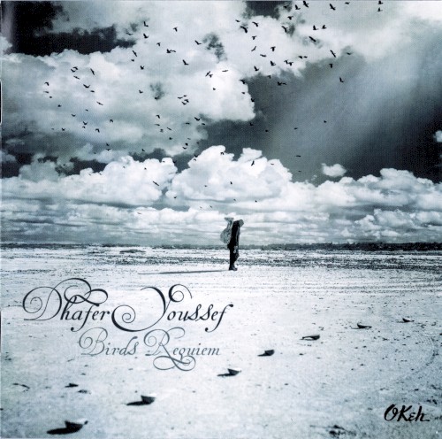 Pochette de Birds Requiem