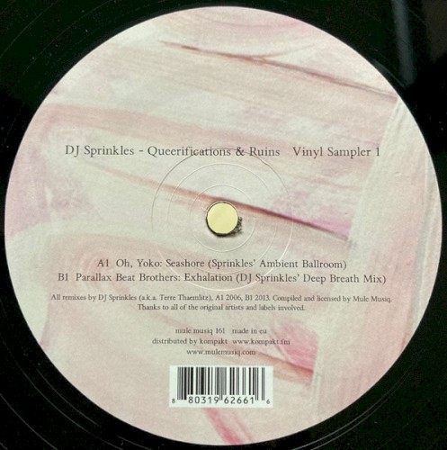 Pochette de Queerifications and Ruins