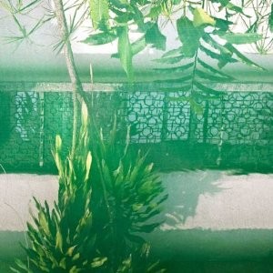 Pochette de Discipline