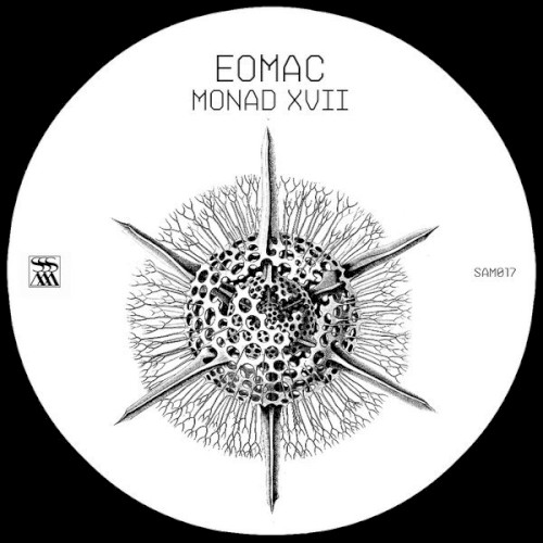 Pochette de Monad XVII