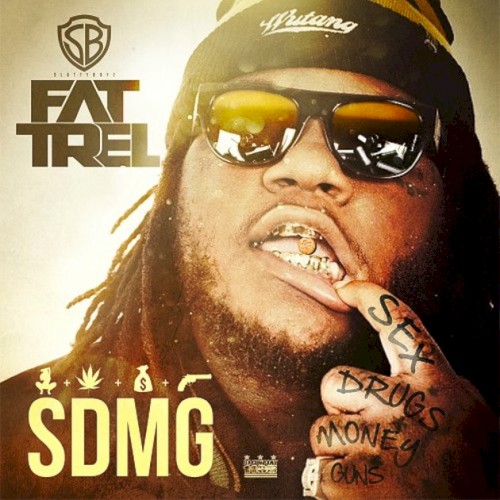 Pochette de SDMG