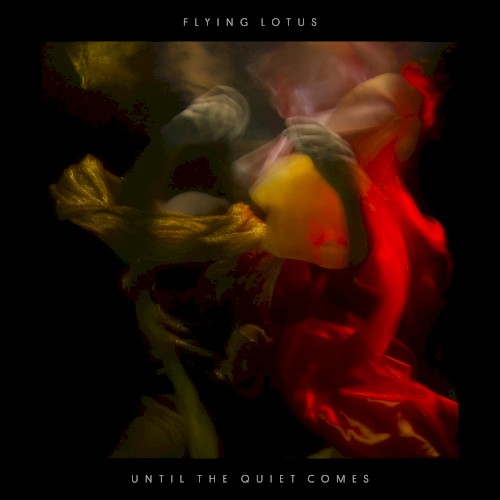 Pochette de Until the Quiet Comes
