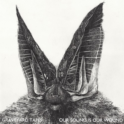 Pochette de Our Sound Is Our Wound