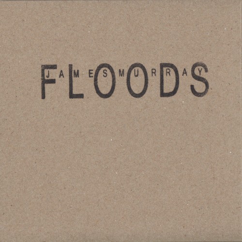 Pochette de Floods