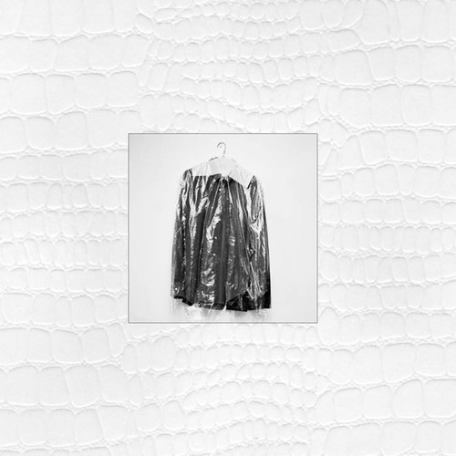 Pochette de Fences