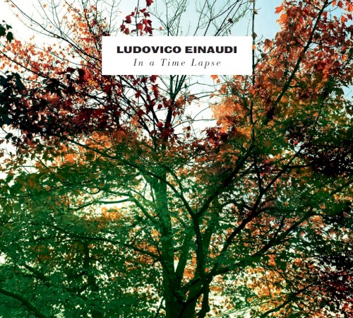 Pochette de In a Time Lapse