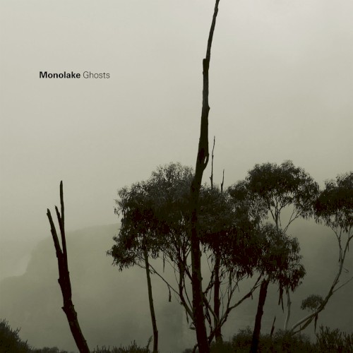 Pochette de Ghosts