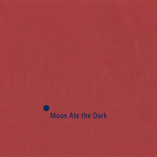 Pochette de Moon Ate The Dark