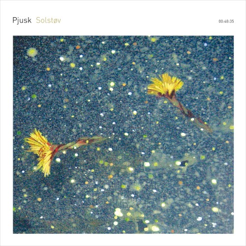 Pochette de Solstøv