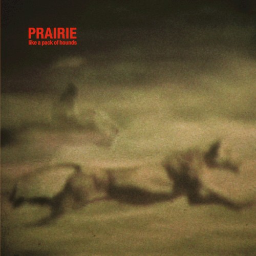 Pochette de Like a Pack of Hounds