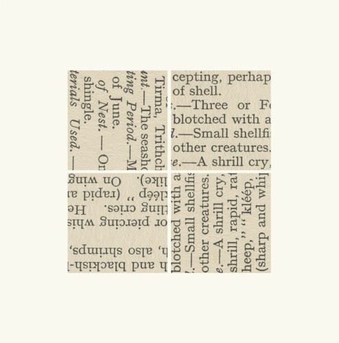 Pochette de Verse of Birds