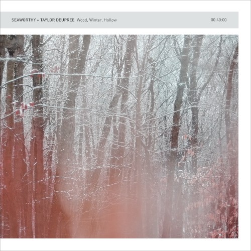 Pochette de Wood, Winter, Hollow