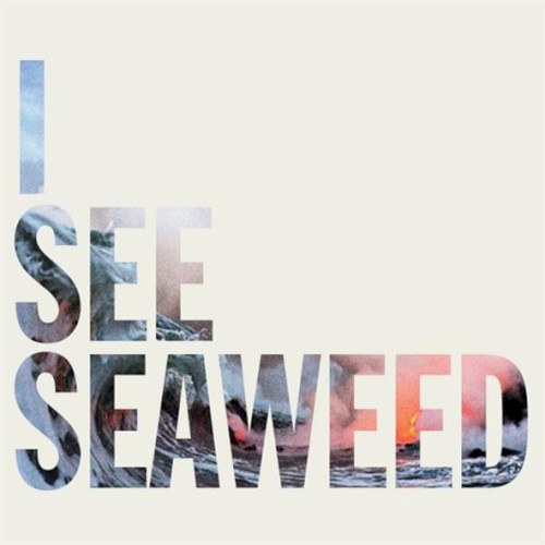 Pochette de I See Seaweed