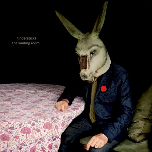 Pochette de The Waiting Room