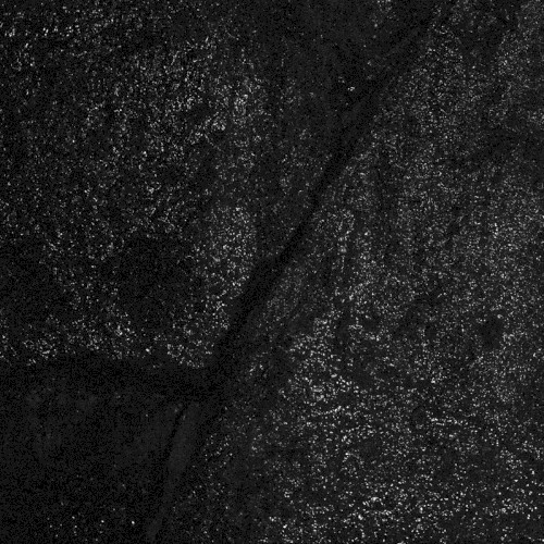 Pochette de Order Of Noise