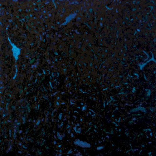 Pochette de Immersion