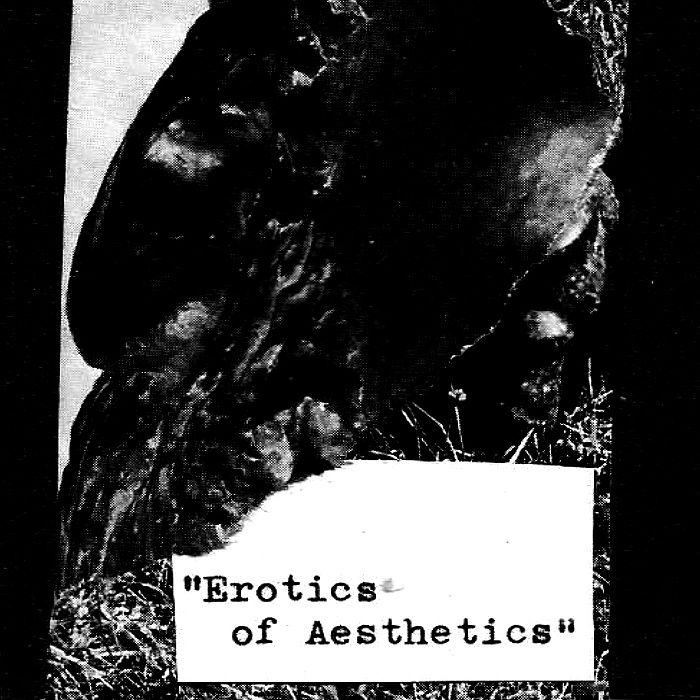 Pochette de Erotics of Aesthetics