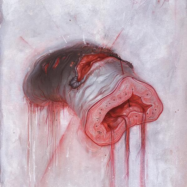 Pochette de Prolapse