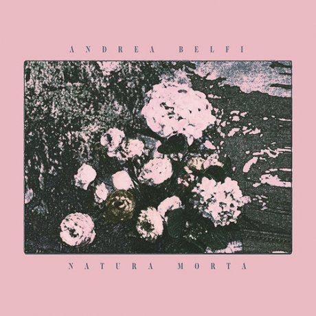 Pochette de Natura Morta