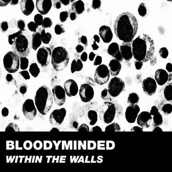 Pochette de Within the Walls