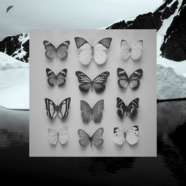 Pochette de Young Alaska