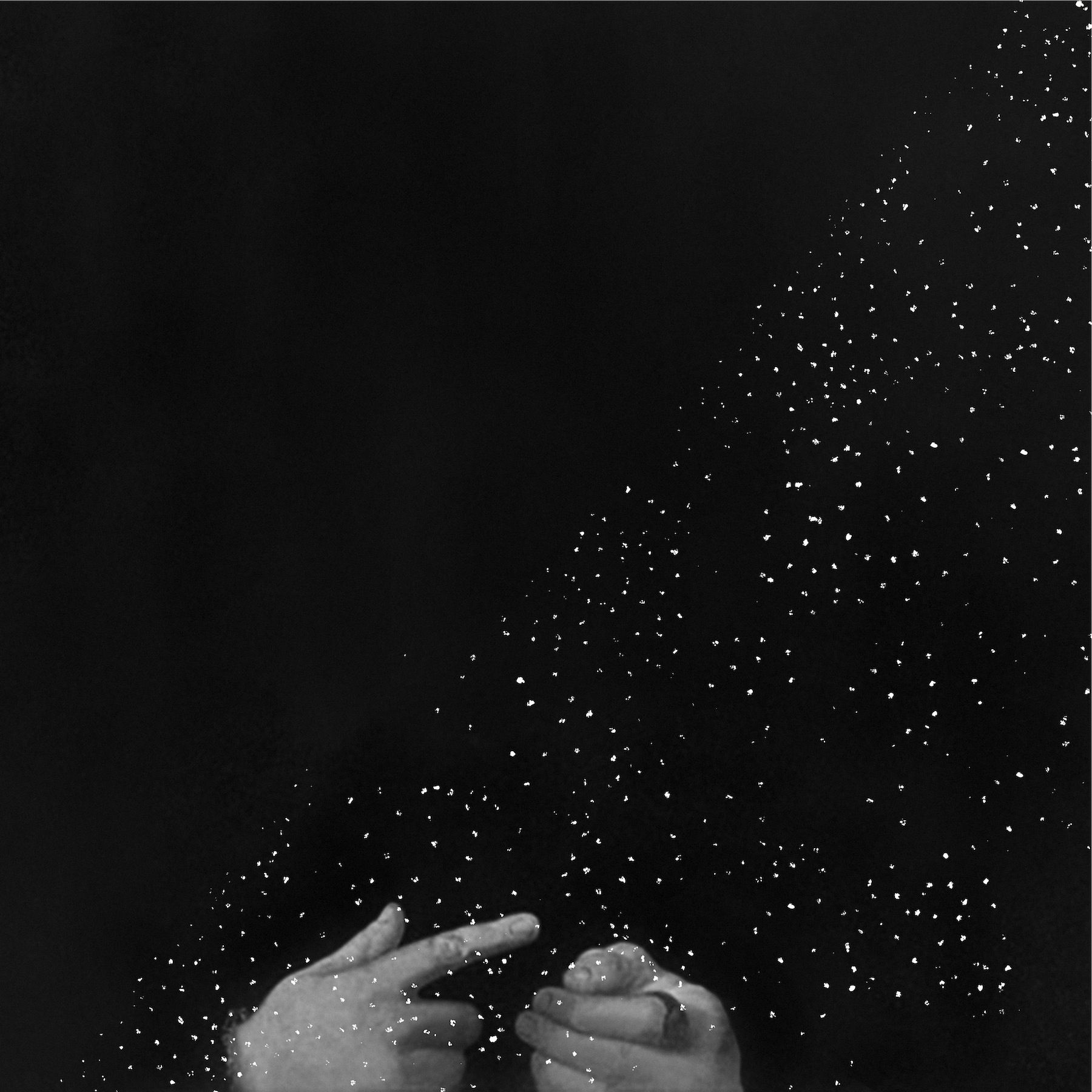 Pochette de The Seeker and The Healer