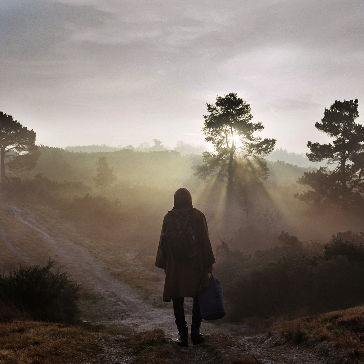 Pochette de A New Nature
