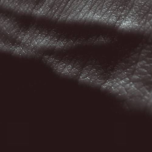 Pochette de Posthuman