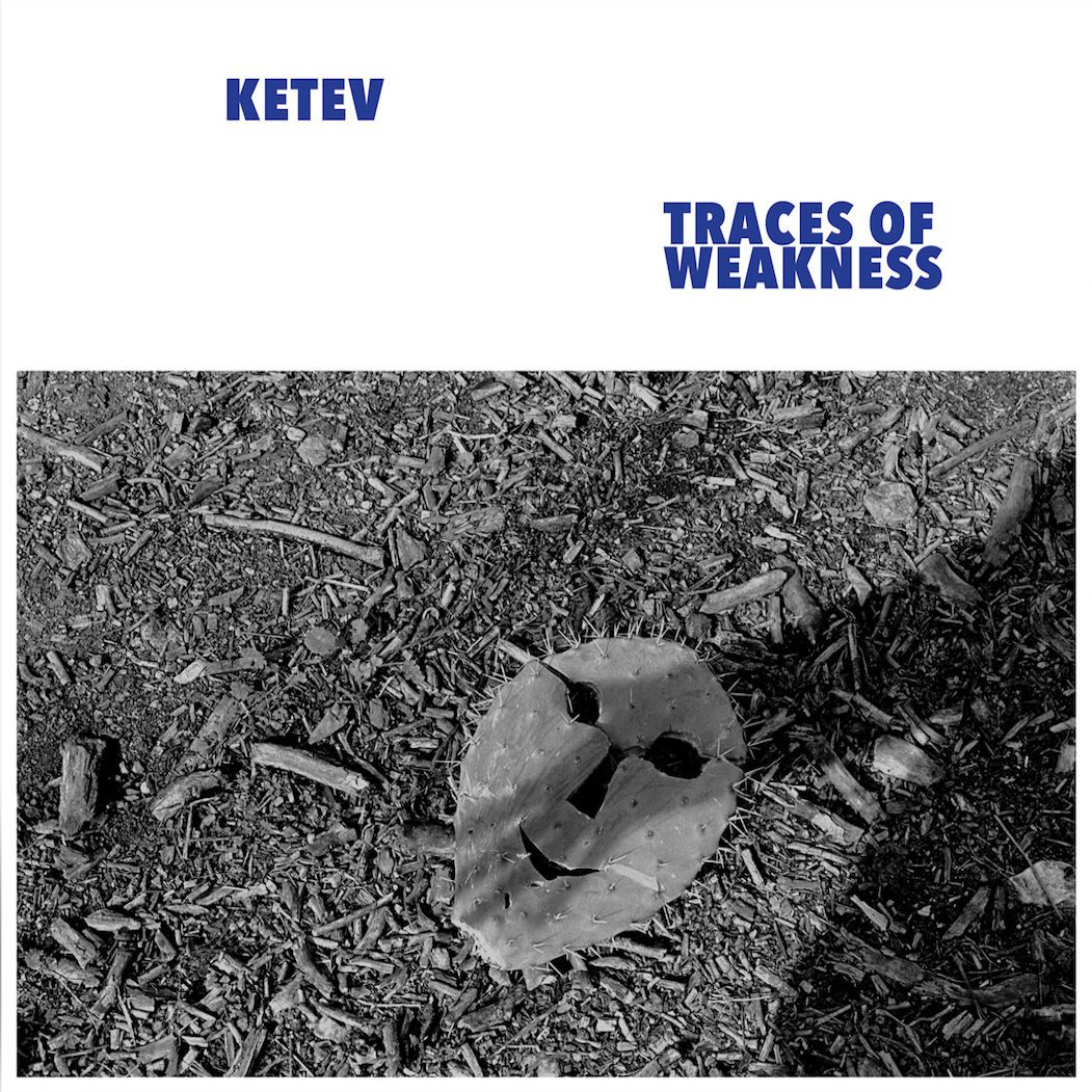 Pochette de Traces of Weakness