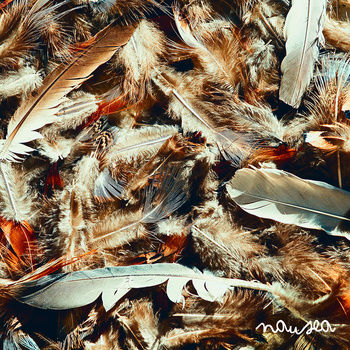 Pochette de Nausea