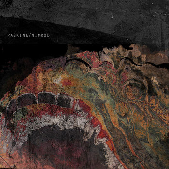 Pochette de Nimrod
