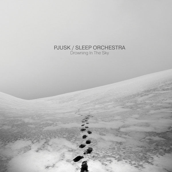 Pochette de Drowning In The Sky