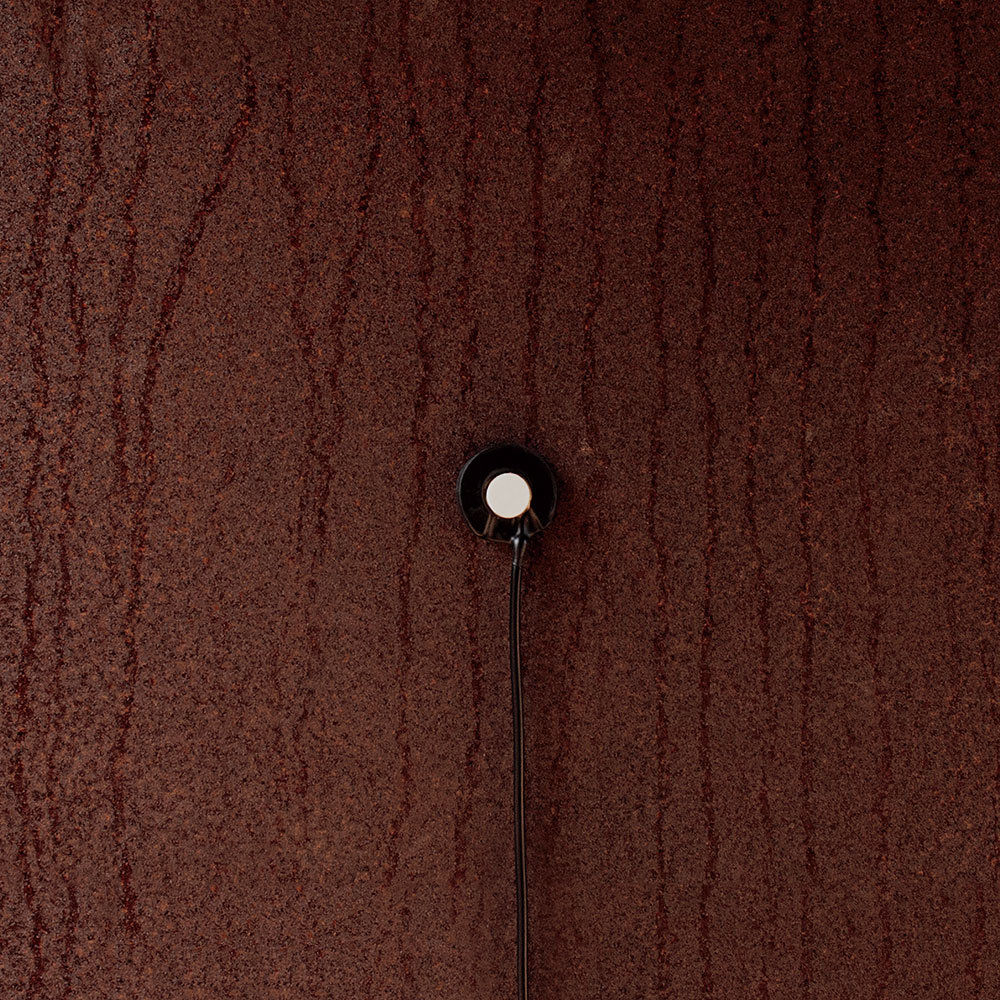 Pochette de Rust