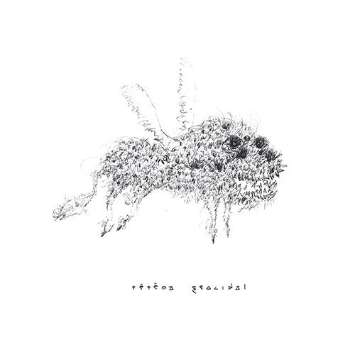 Pochette de Geocidal