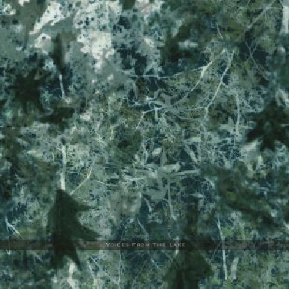 Pochette de Voices From The Lake