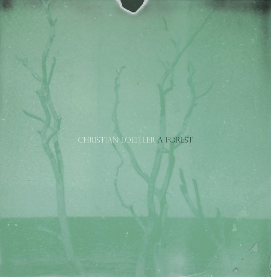 Pochette de A Forest