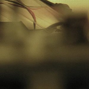 Pochette de Abstracts On Solitude