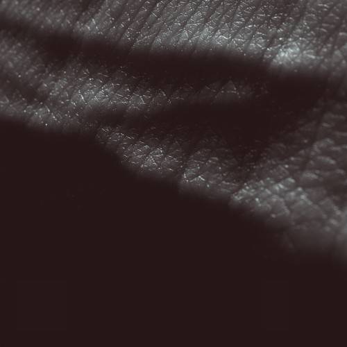 Pochette de Posthuman