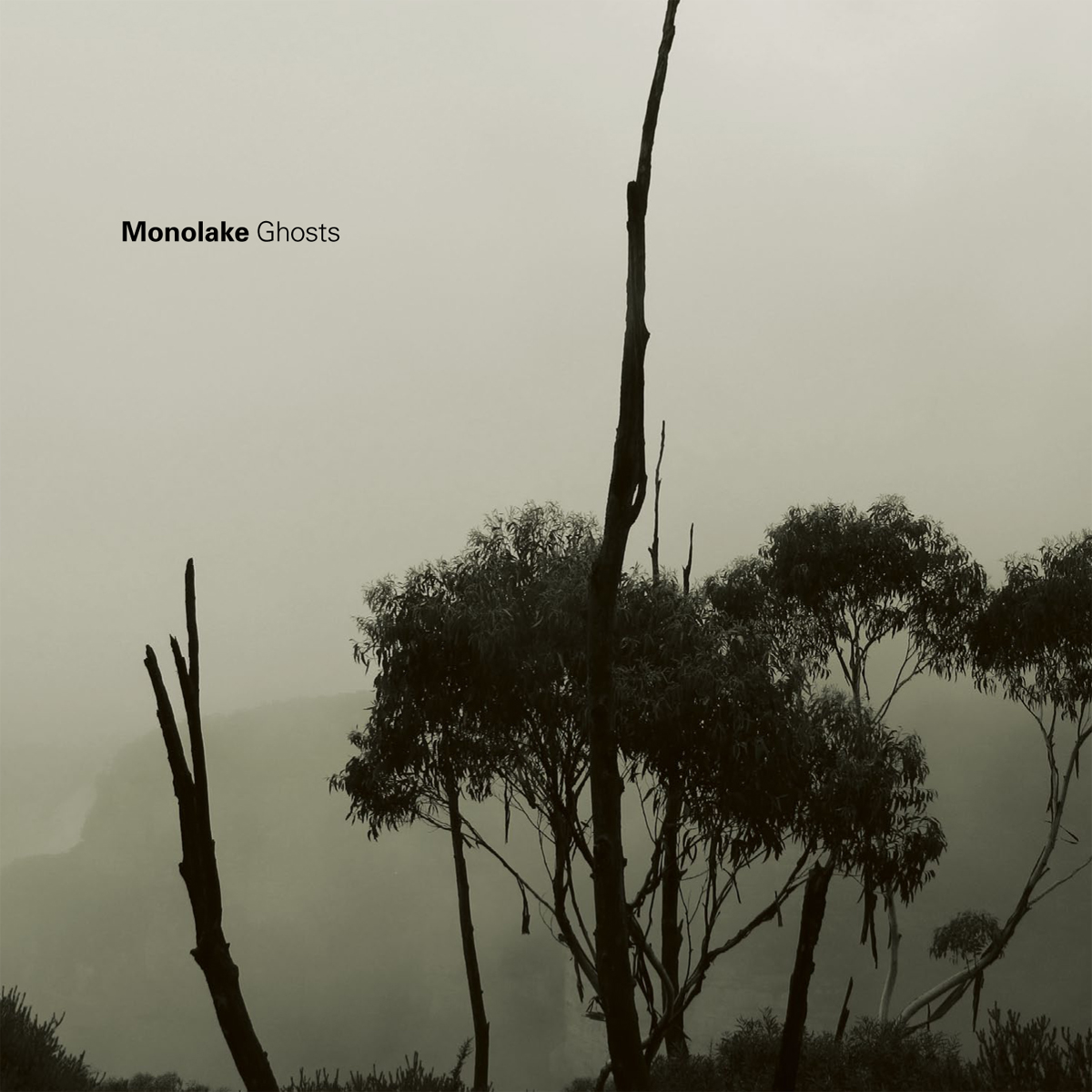 Pochette de Ghosts